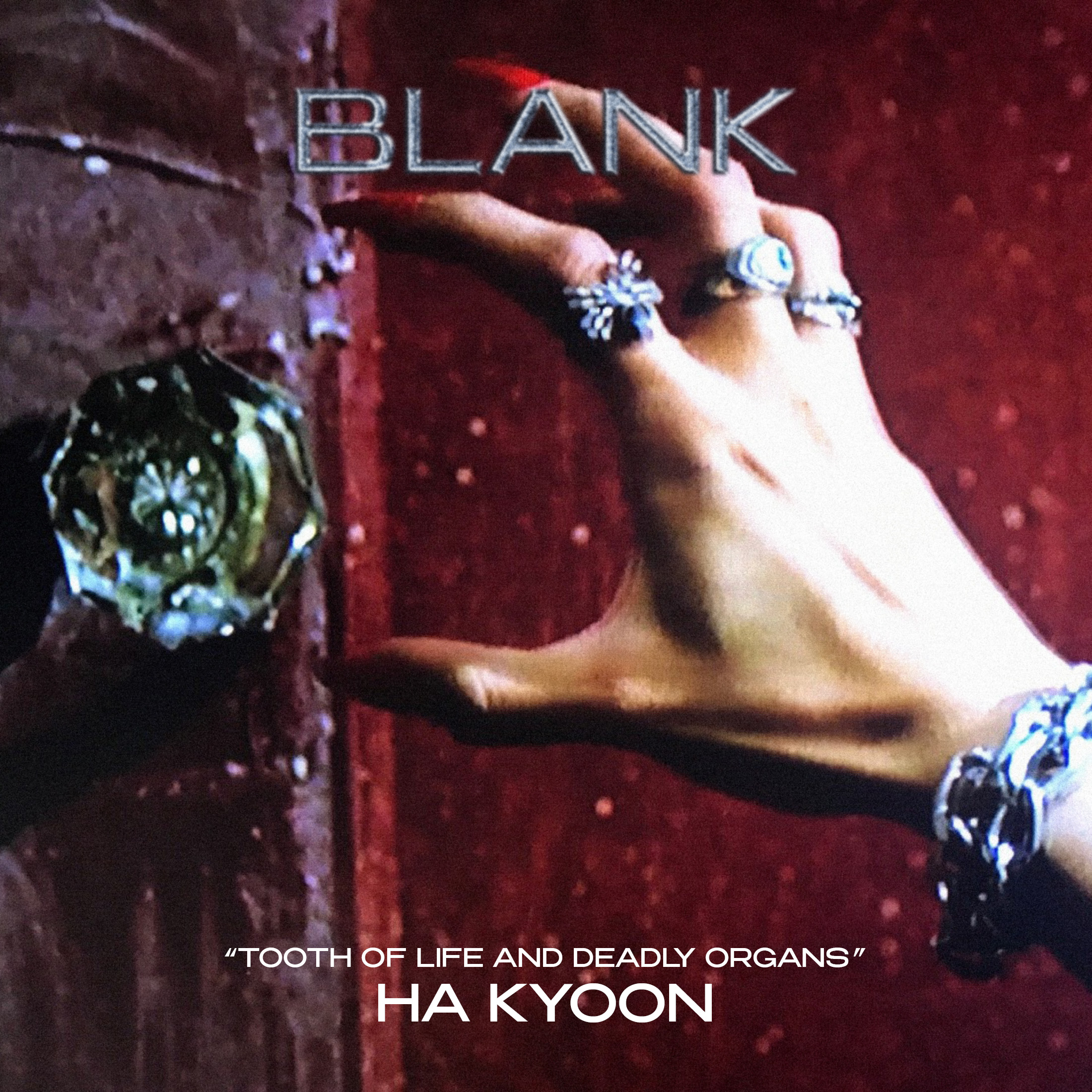 blank ha kyoon