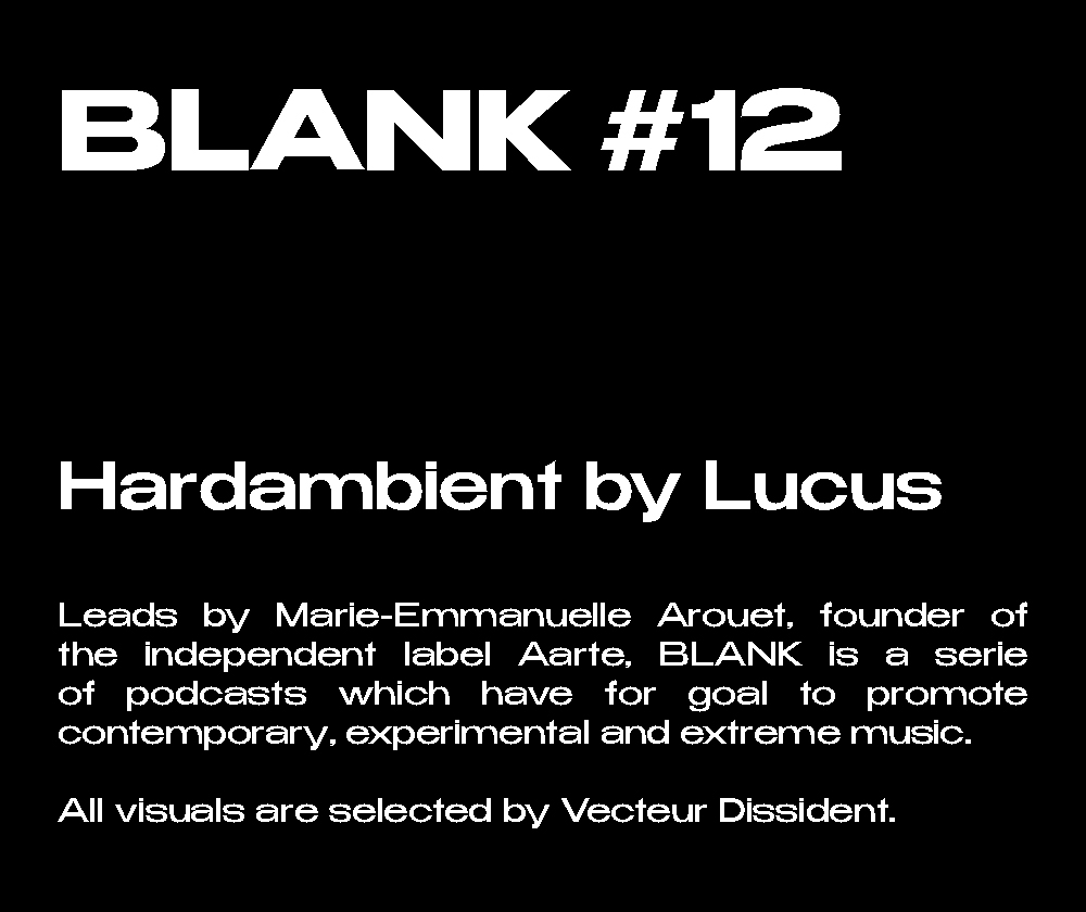 BAD TO THE BONE - BLANK #12 - HARDAMBIENT - LUCUS