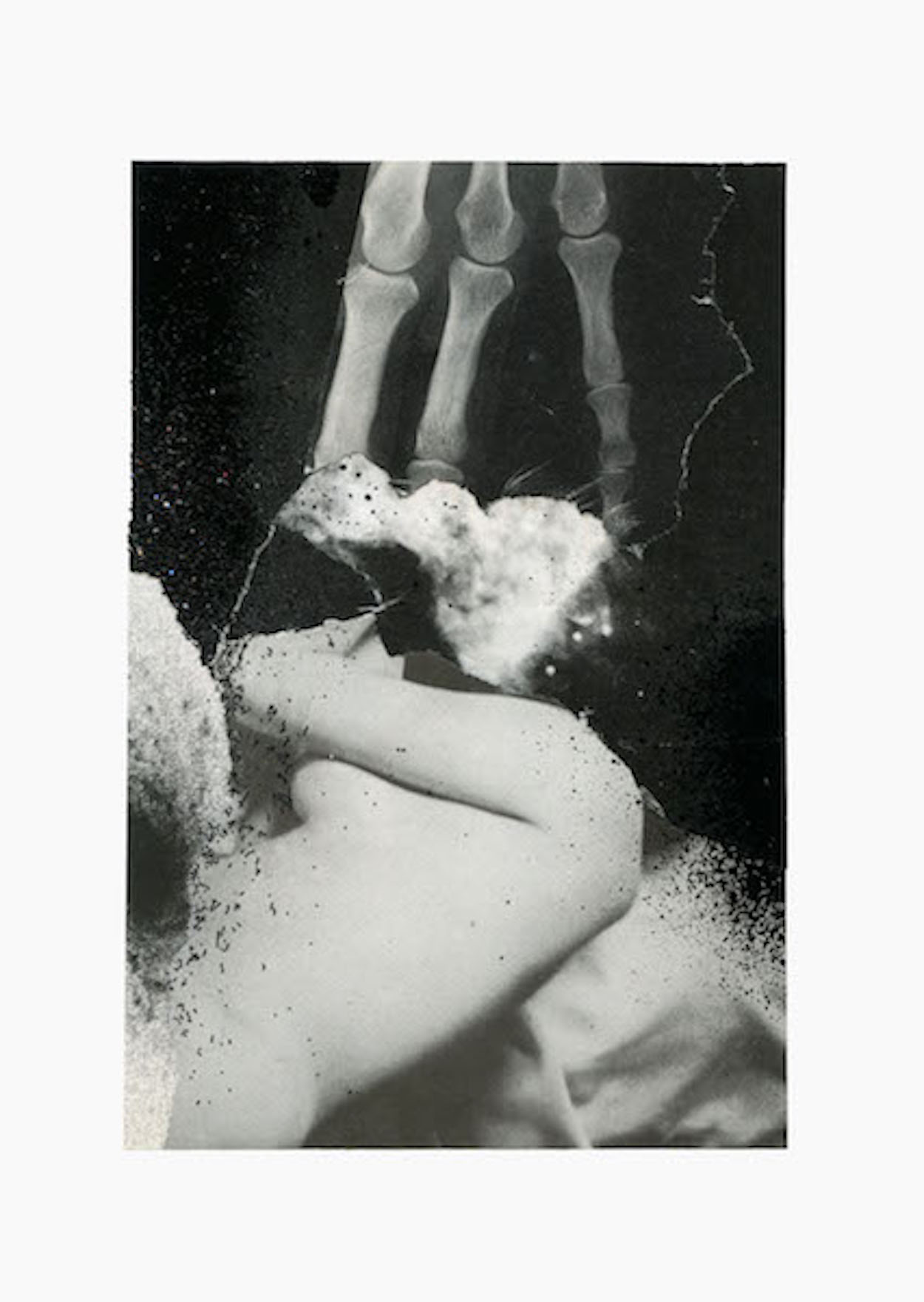 Bad to the Bone - The Art Of Summer - Julien Langendorff