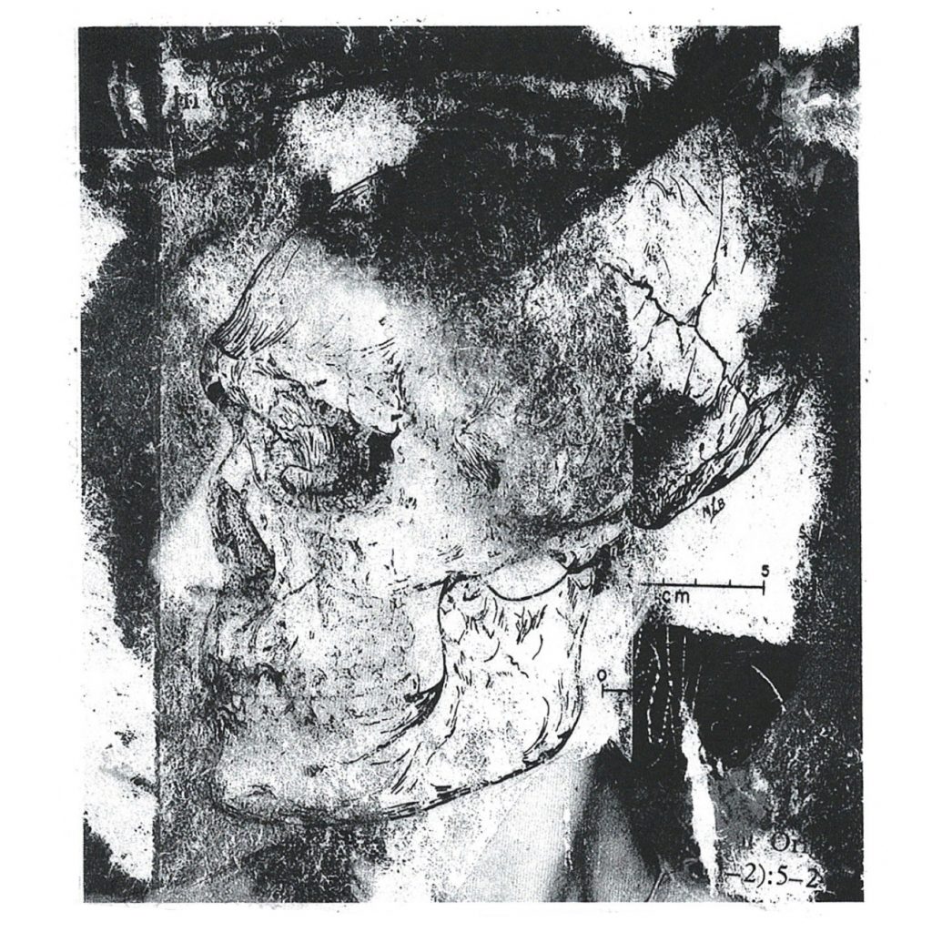 Bad to the Bone - Rip & Create - Paul van Trigt, Rip &#038; Create, Bad to the Bone