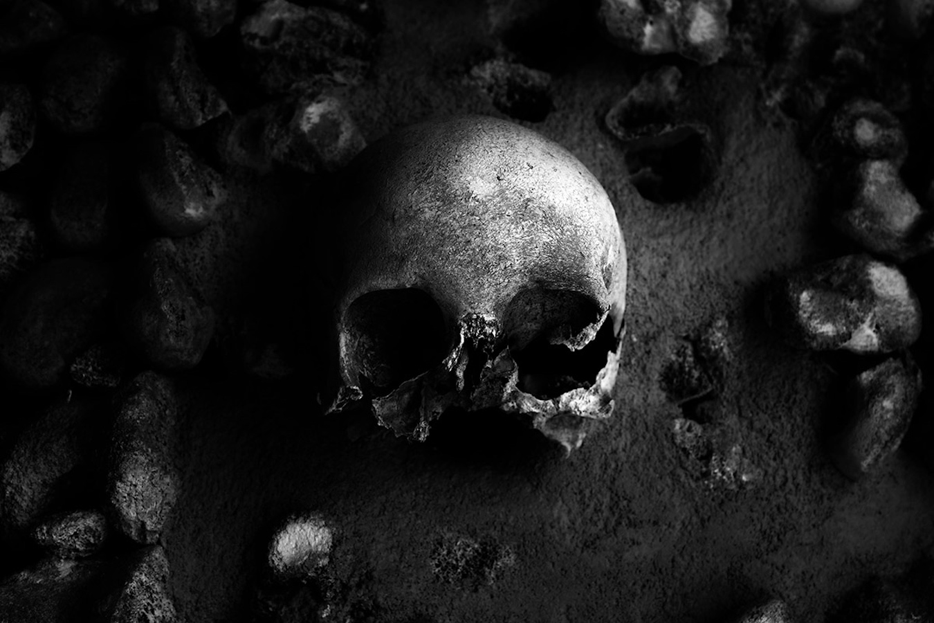 Bad to the Bone - Lago Senza Fondo - Willy Vecchiato, Lago Senza Fondo, Bad to the Bone
