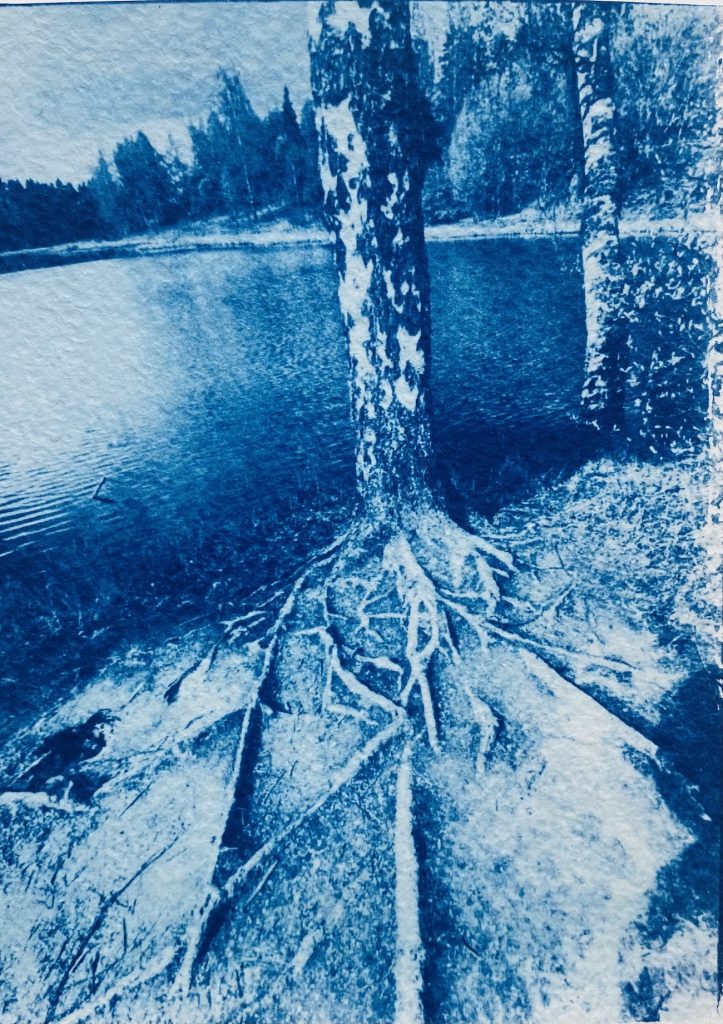 Bad to the Bone - Ida Anderson - Blue Valentines, Blue Valentines, Bad to the Bone