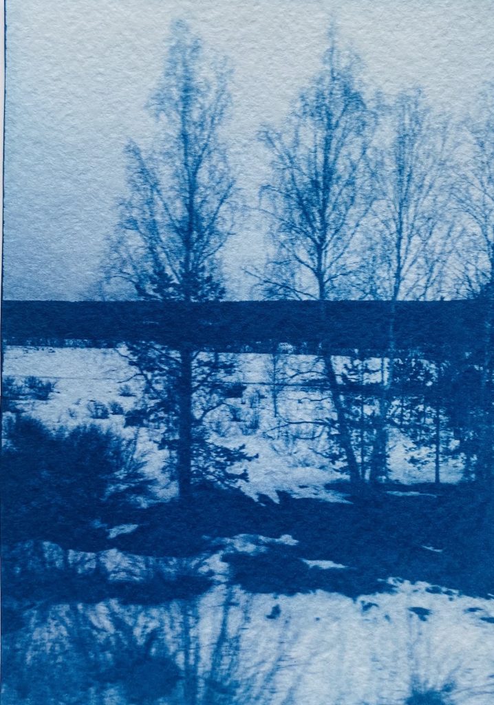 Bad to the Bone - Ida Anderson - Blue Valentines, Blue Valentines, Bad to the Bone