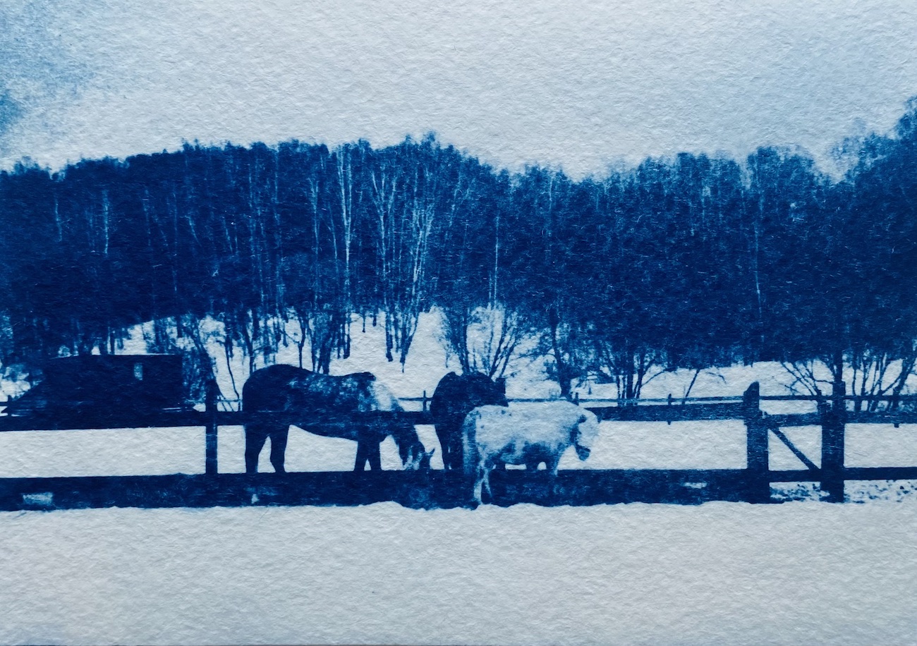 Bad to the Bone - Ida Anderson - Blue Valentines, Blue Valentines, Bad to the Bone