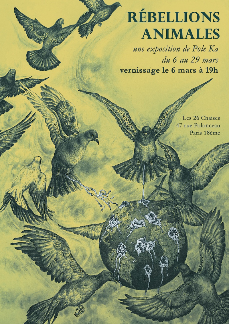 Bad to the Bone -Souvenirs des &icirc;les Nansei - Pole Ka, Souvenirs des &icirc;les Nansei, Bad to the Bone
