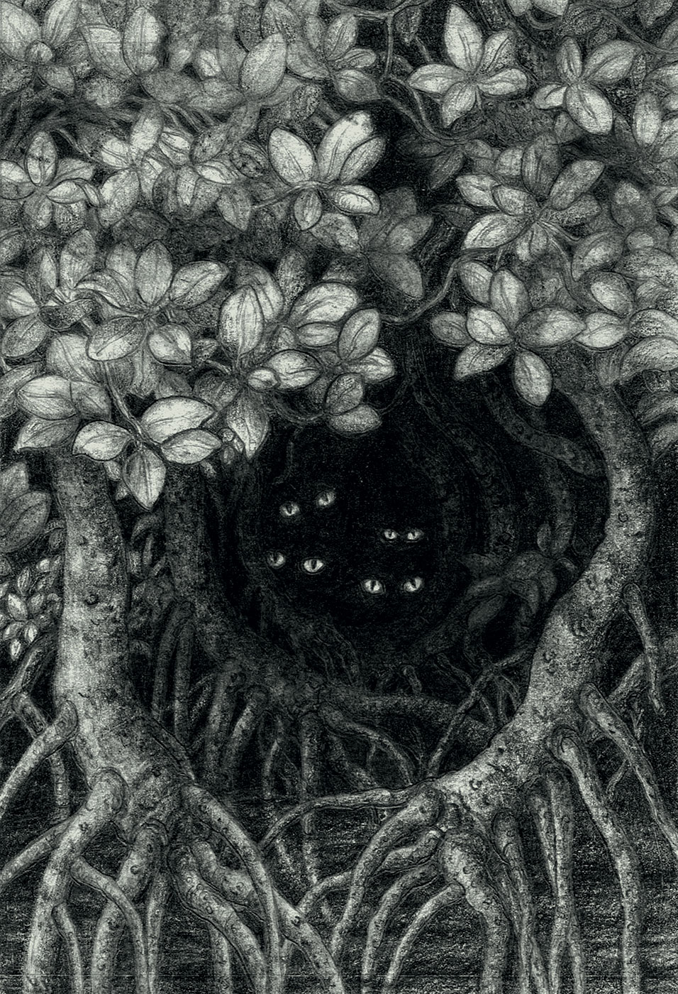 Bad to the Bone -Souvenirs des &icirc;les Nansei - Pole Ka, Souvenirs des &icirc;les Nansei, Bad to the Bone