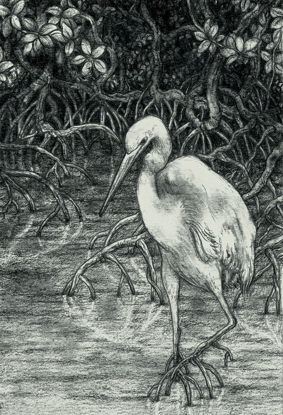 Bad to the Bone -Souvenirs des &icirc;les Nansei - Pole Ka, Souvenirs des &icirc;les Nansei, Bad to the Bone