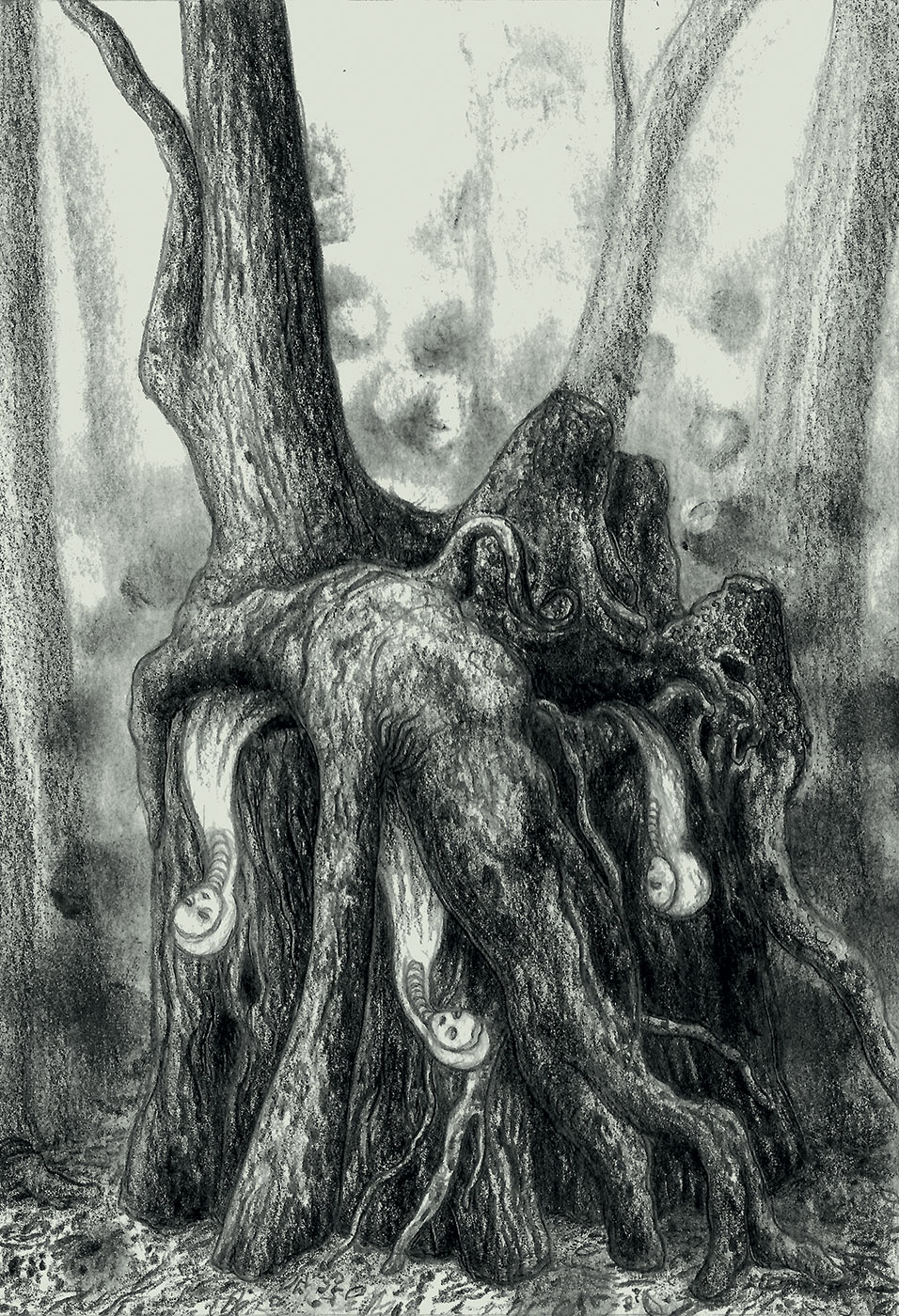 Bad to the Bone -Souvenirs des &icirc;les Nansei - Pole Ka, Souvenirs des &icirc;les Nansei, Bad to the Bone