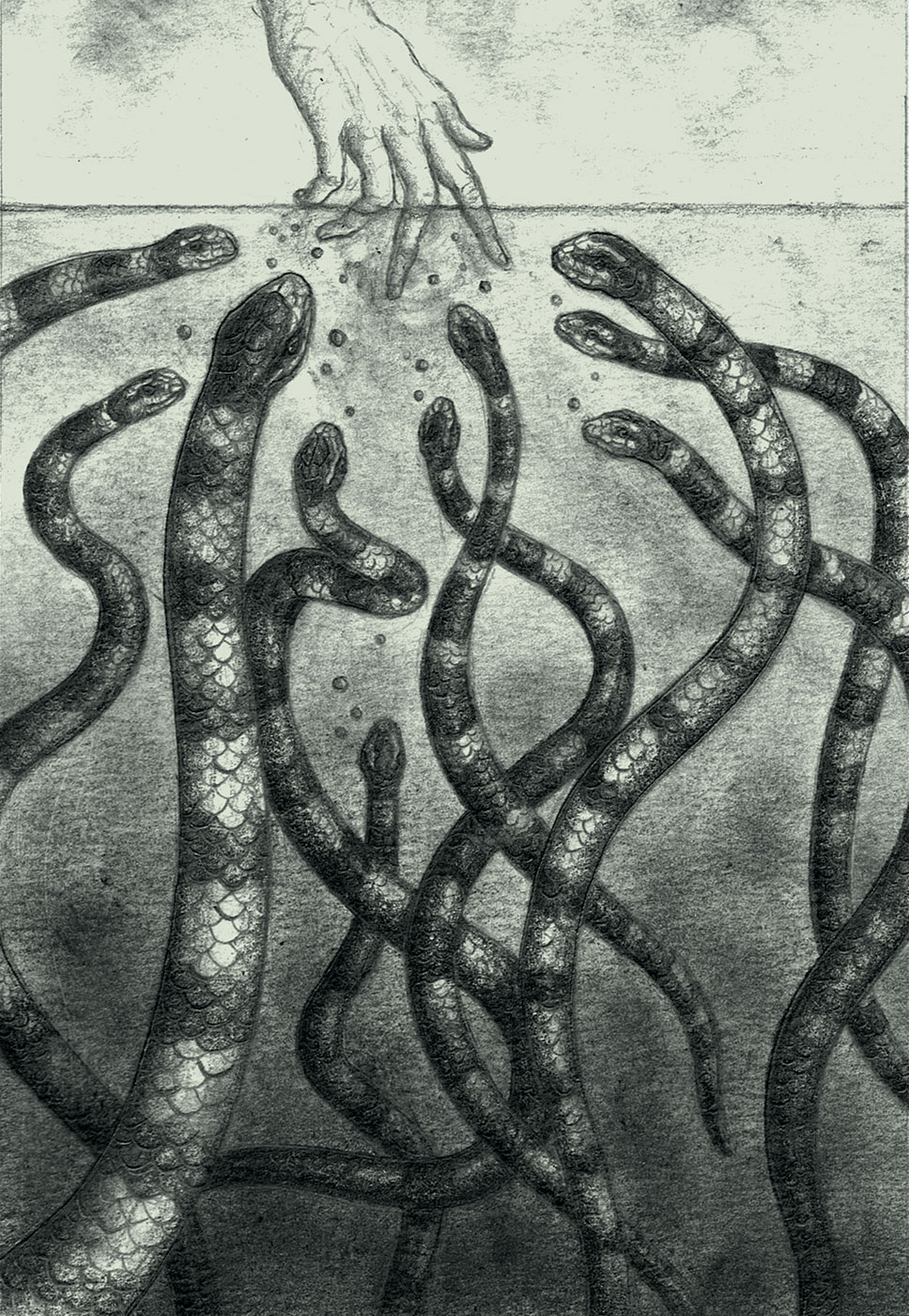 Bad to the Bone -Souvenirs des &icirc;les Nansei - Pole Ka, Souvenirs des &icirc;les Nansei, Bad to the Bone