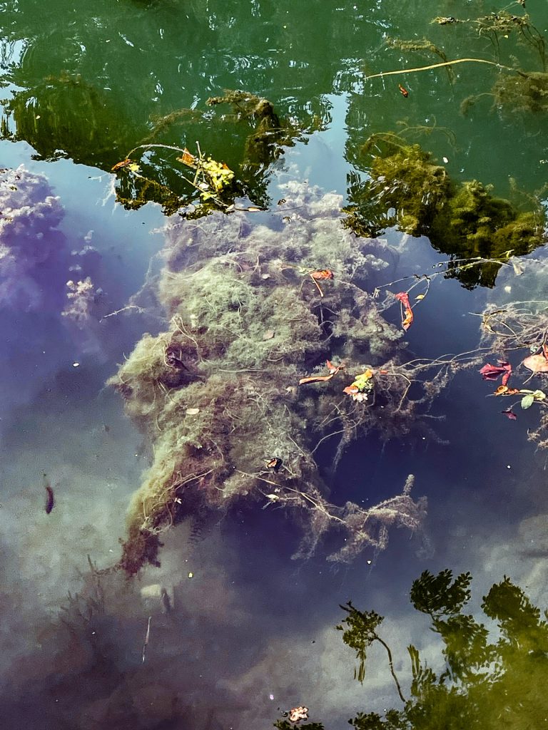 Bad to the Bone - The Drowned World - Alex CruxX, The Drowned World, Bad to the Bone