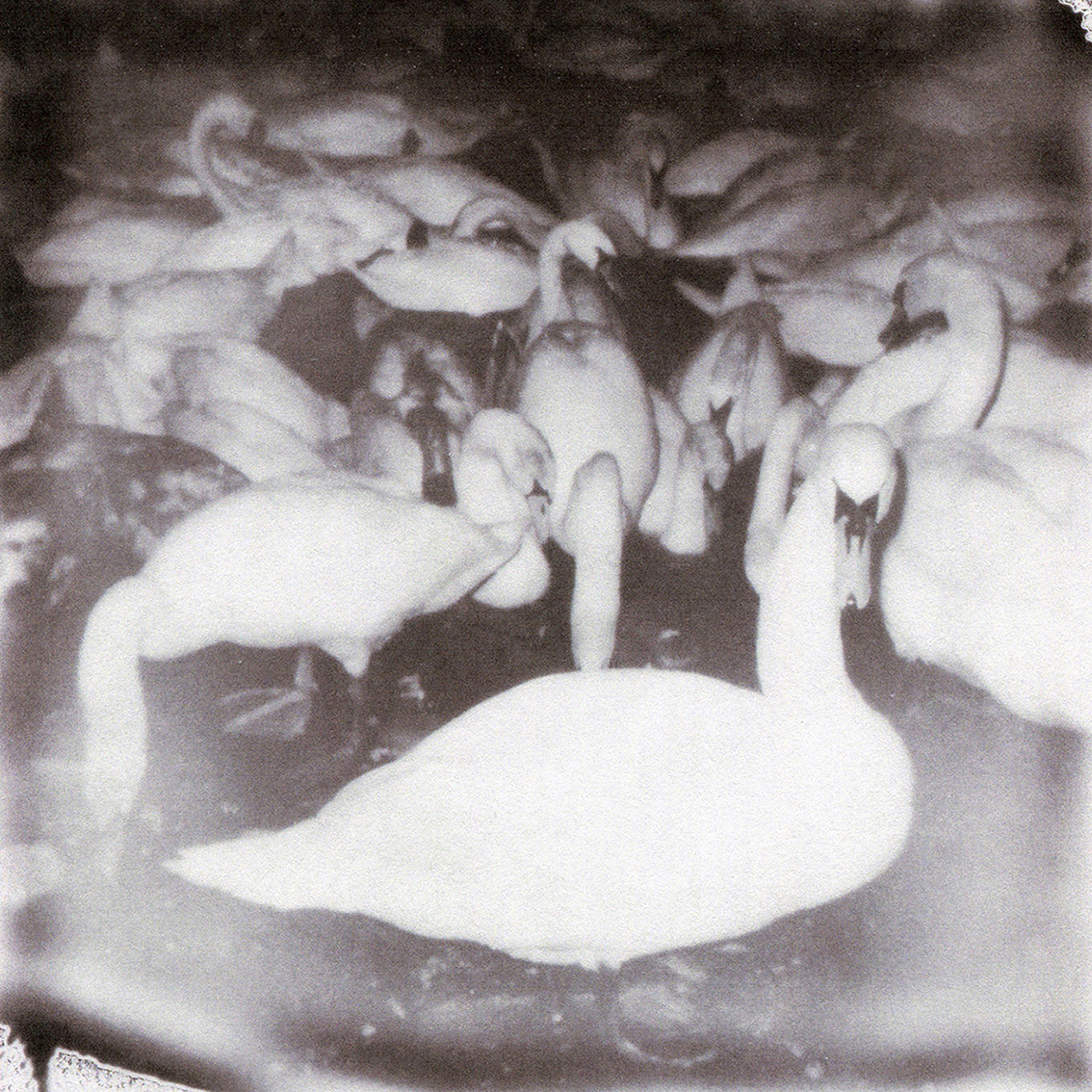 Bad to the Bone - Pain Is The Doorway. And Ecstasy The Flame, Pain Is The Doorway, And Ecstasy The Flame, Bad to the Bone