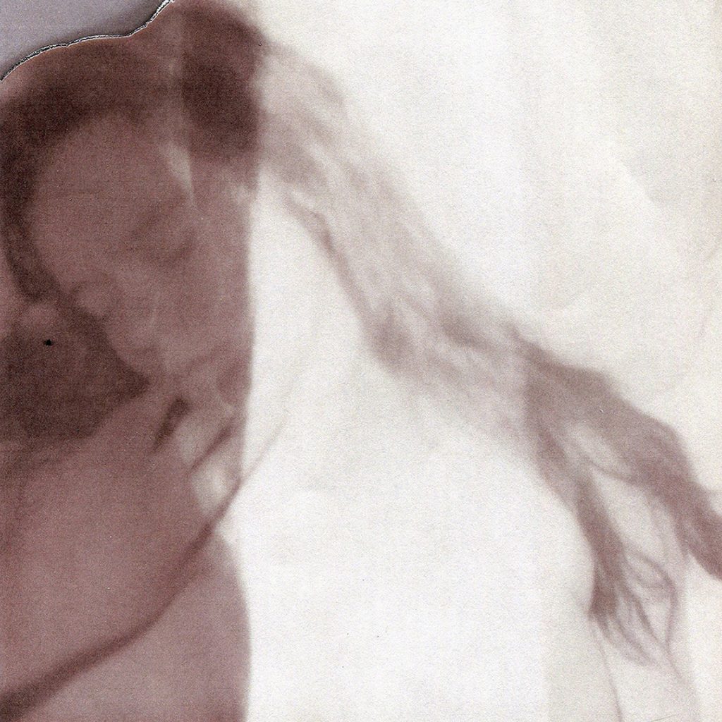 Bad to the Bone - Pain Is The Doorway. And Ecstasy The Flame, Pain Is The Doorway, And Ecstasy The Flame, Bad to the Bone