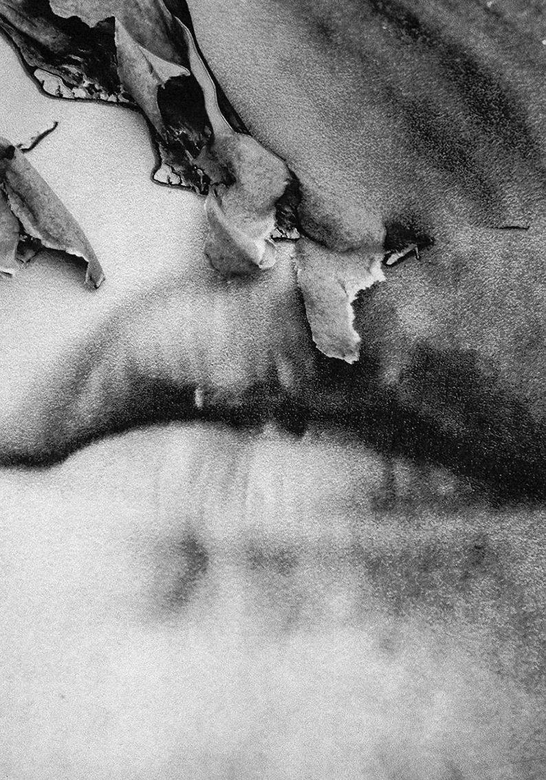 Bad to the Bone - Pain Is The Doorway. And Ecstasy The Flame, Pain Is The Doorway, And Ecstasy The Flame, Bad to the Bone