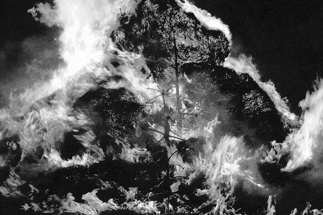 Bad to the Bone - Pain Is The Doorway. And Ecstasy The Flame, Pain Is The Doorway, And Ecstasy The Flame, Bad to the Bone